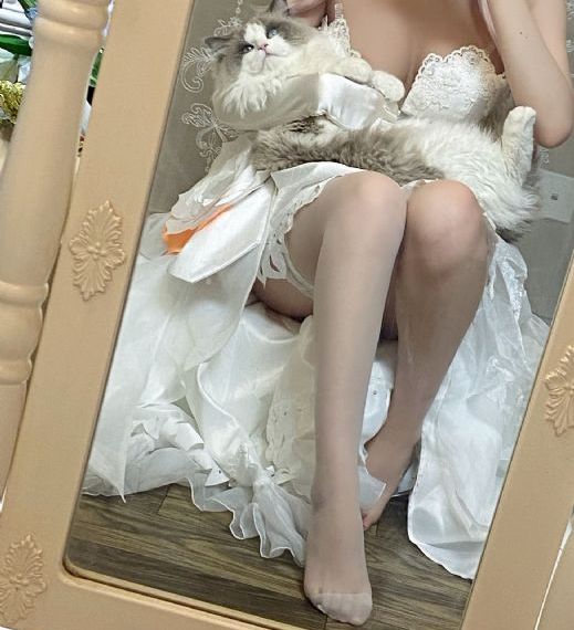 去有风的地方 电视剧免费观看
